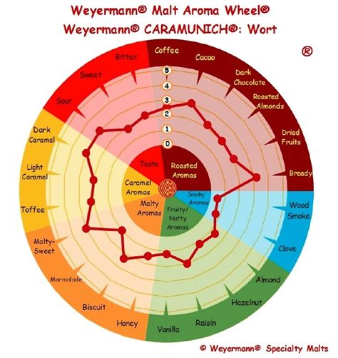 caramunich i substitute chart.